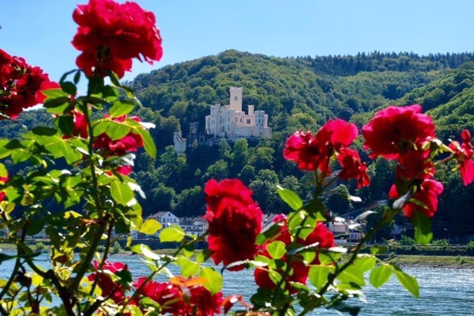 Villa Lahr Lahr  Εξωτερικό φωτογραφία
